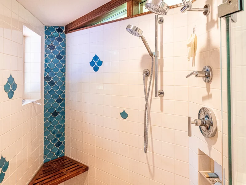 Shower Renovation Example in Madison