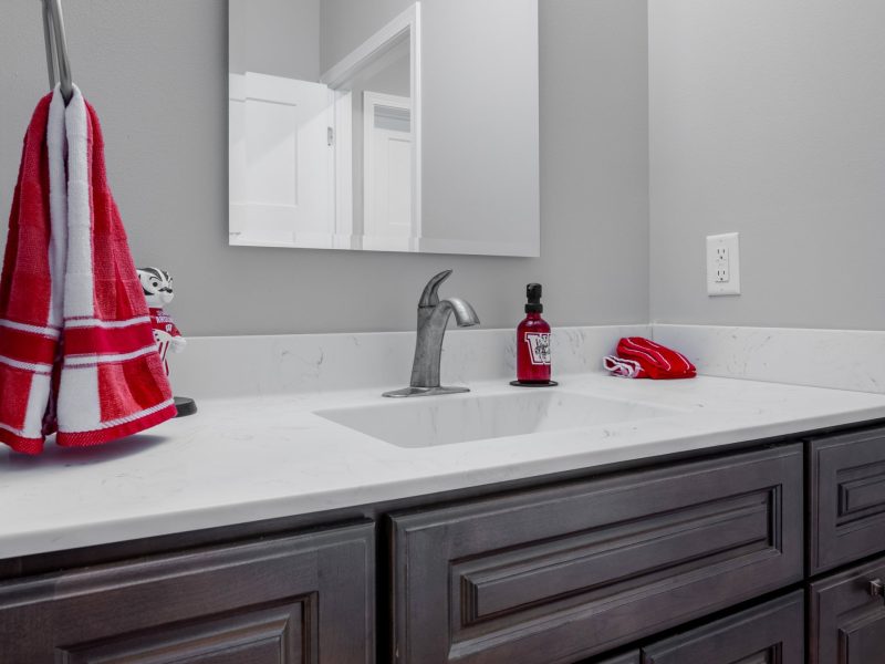 Bathroom renovation in Madison WI with Badger Theme